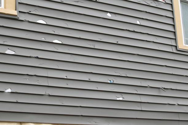 Siding for Multi-Family Homes in Charleston, MO