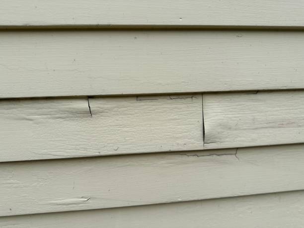 Best Siding Removal and Disposal  in Charleston, MO